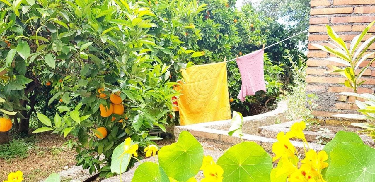 L'Aranceto Villa อาชิเรอาเล ภายนอก รูปภาพ