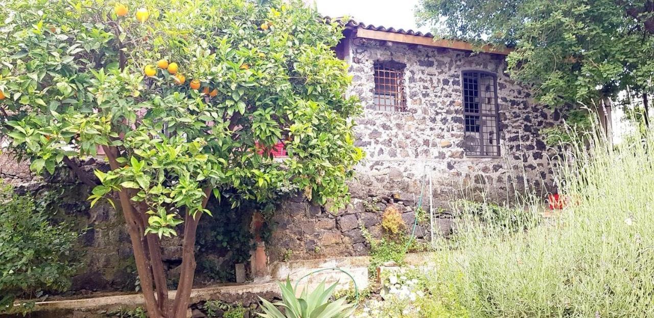 L'Aranceto Villa อาชิเรอาเล ภายนอก รูปภาพ